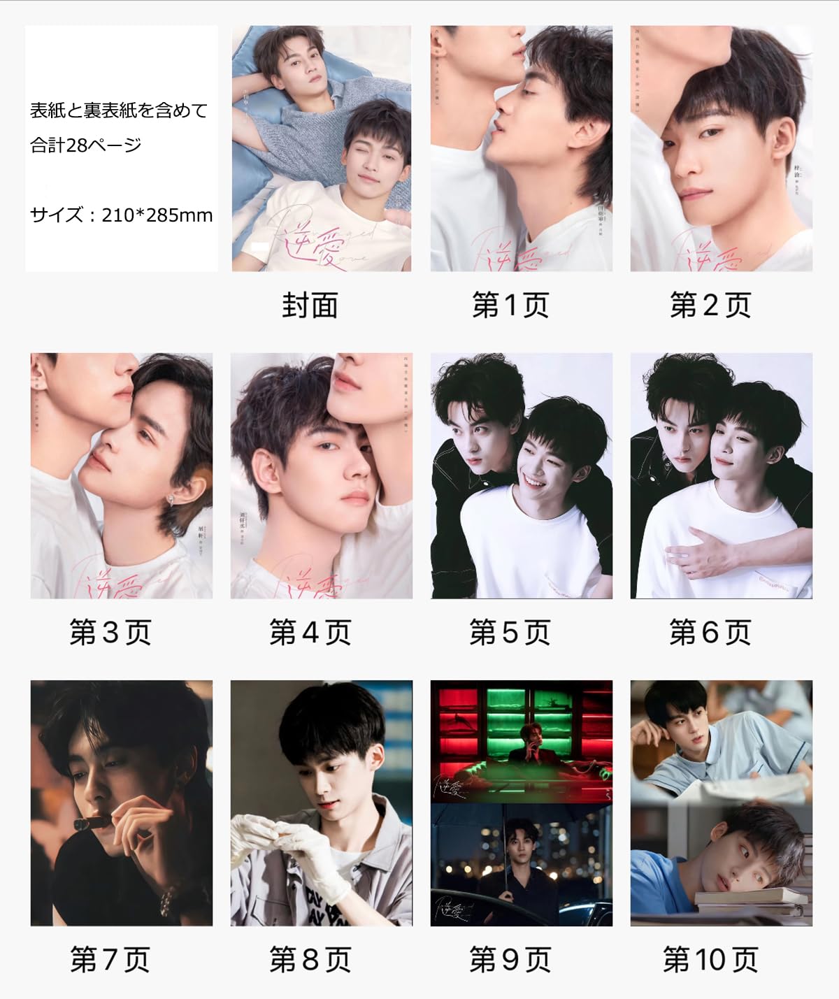 Amazon.co.jp: 写真 逆愛～Revenged Love～ 写真集 グッズ 中国BL